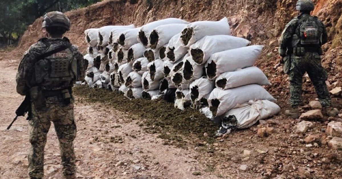 Operativo Seguridad Sinaloa Narco decomiso mariguana armas (@OHarfuch/x)