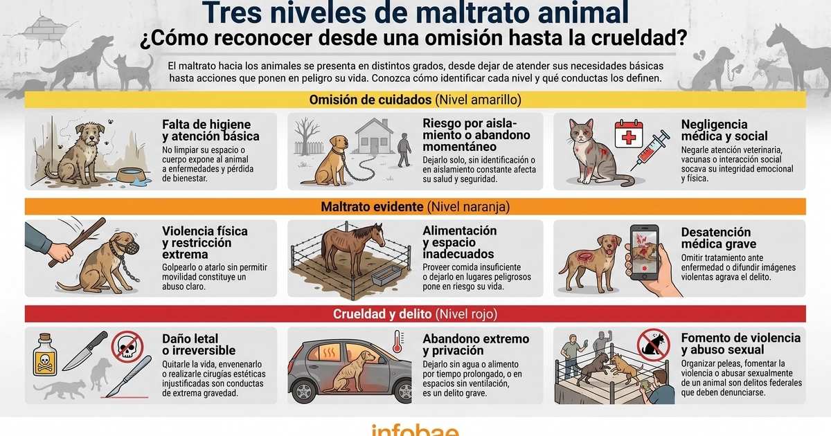 Un gráfico de Infobae diferencia la omisión de cuidados, el maltrato evidente y la crueldad contra los animales mediante ejemplos ilustrados para cada nivel. (Imagen Ilustrativa Infobae)