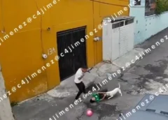 “Me voy a morir”: perro ataca a niño que jugaba en calles de Iztapalapa y queda registrado en video