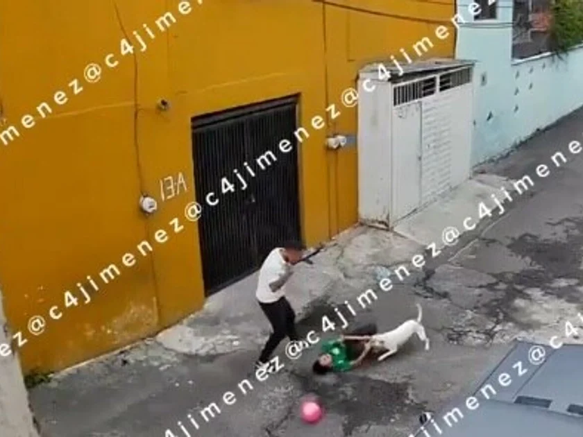 El niño fue atacado por un perro mientras jugaba en calles de la colonia San Miguel, en Iztapalapa. (Impresión de pantalla video)