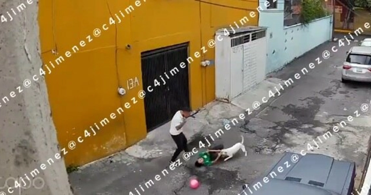 El niño fue atacado por un perro mientras jugaba en calles de la colonia San Miguel, en Iztapalapa. (Impresión de pantalla video)