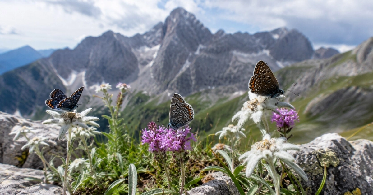 El calentamiento en los Alpes bávaros impulsa un corrimiento de especies hacia áreas más frescas (Imagen Ilustrativa Infobae)