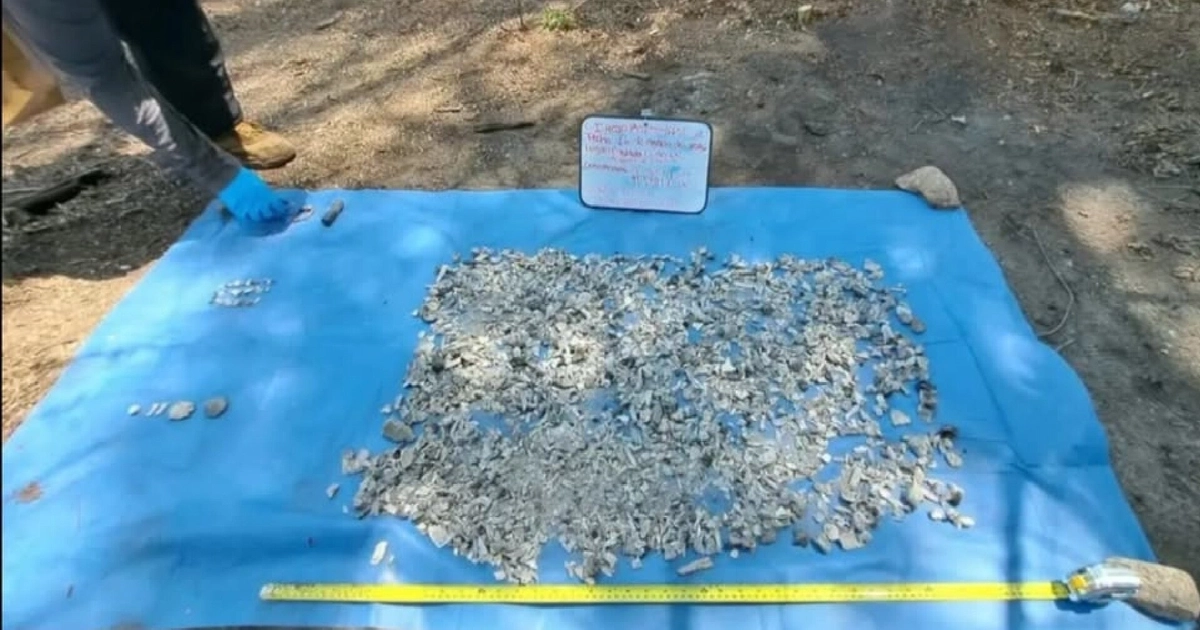 Encuentran restos óseos en zona rural de Acapulco, Guerrero (especial)