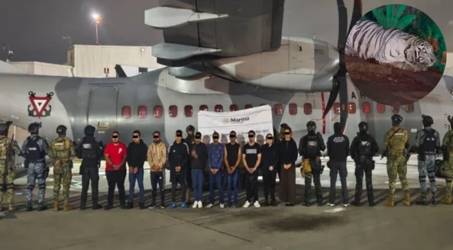 Megaoperativo en Hidalgo, Jalisco y Michoacán: caen 20 integrantes del CJNG con tigres y panteras