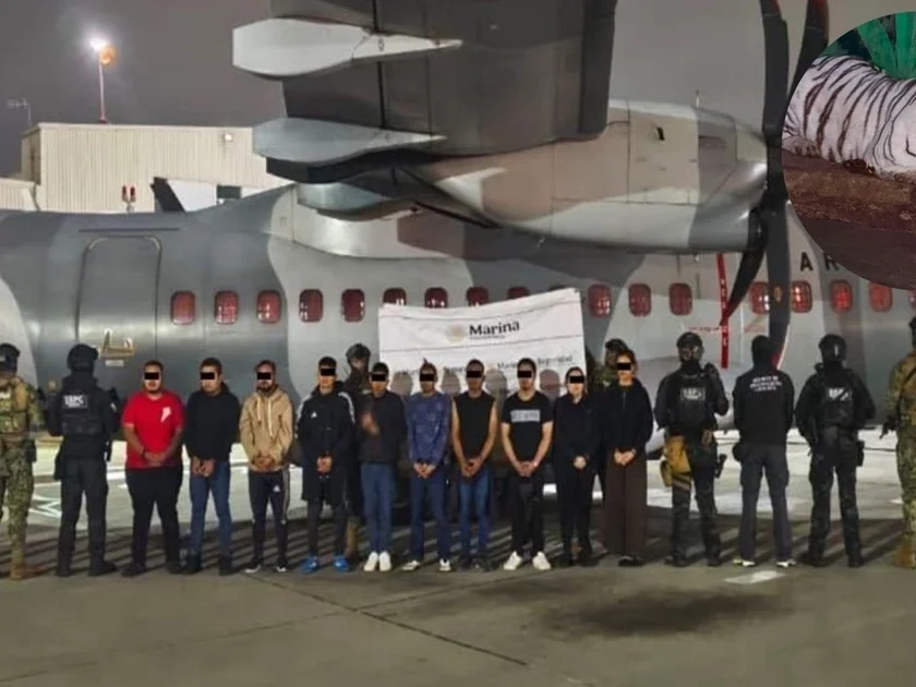 Los detenidos fueron ubicados en 36 inmuebles de las entidades referidas. Foto: X/@OHarfuch