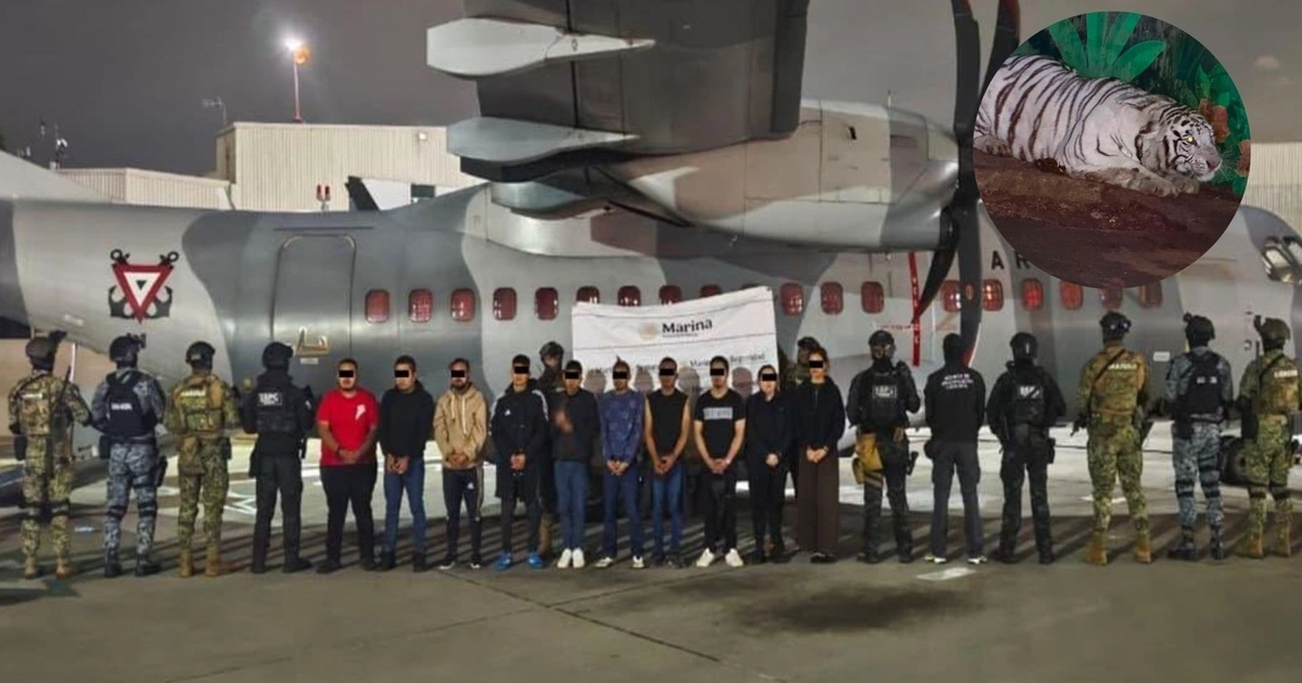 Los detenidos fueron ubicados en 36 inmuebles de las entidades referidas. Foto: X/@OHarfuch