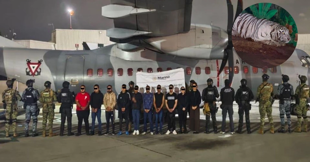 Detenidos CJNG en tres estados