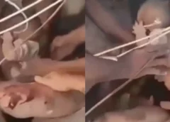 Rescataron con vida a un bebé y a un adulto entre los escombros en Cali tras el fuerte terremoto en Colombia: el emotivo momento quedó en video