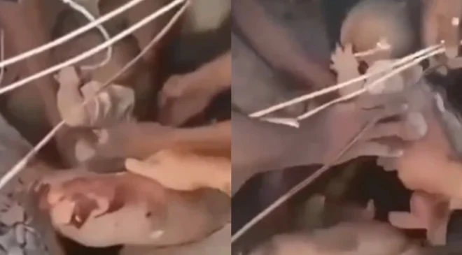 Rescataron con vida a un bebé y a un adulto entre los escombros en Cali tras el fuerte terremoto en Colombia: el emotivo momento quedó en video