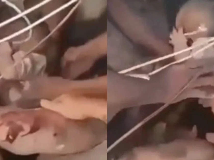 El sismo en Colombia del 10 de agosto dejó un rescate con vida de un bebé de seis meses y una persona adulta entre los escombros de un edificio colapsado en Cali - crédito X