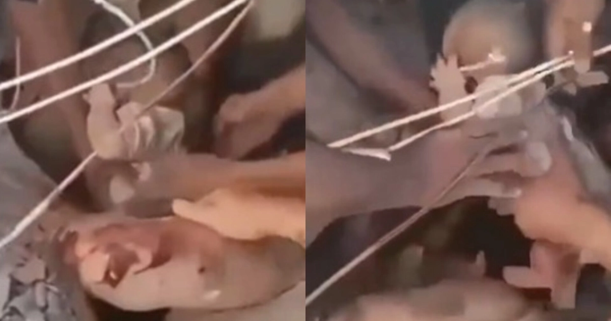 El sismo en Colombia del 10 de agosto dejó un rescate con vida de un bebé de seis meses y una persona adulta entre los escombros de un edificio colapsado en Cali - crédito X