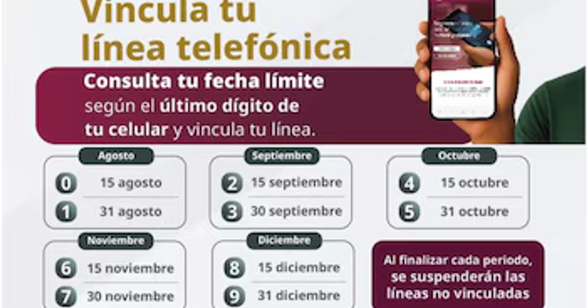 Infografía con fechas límite para vincular líneas telefónicas por último dígito de celular, de agosto a diciembre. Una mano sostiene un teléfono móvil