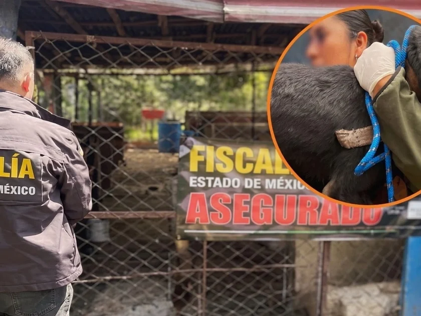 Rescate maltrato animal La Granja de Chopos Ixtapaluca Edomex (FGJEM)