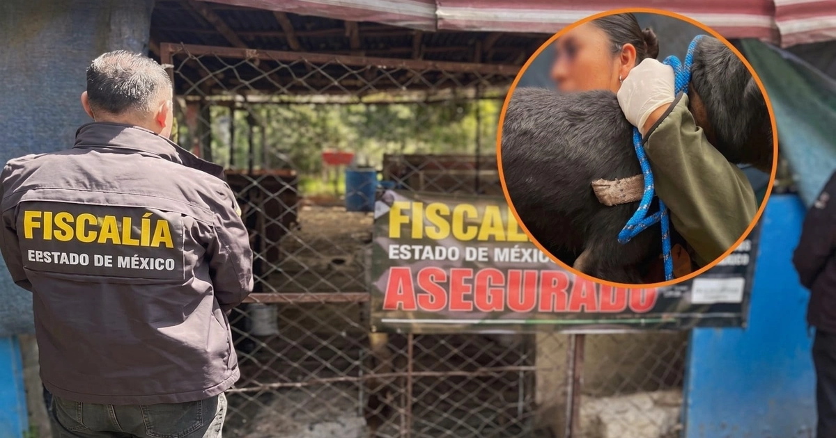 Rescate maltrato animal La Granja de Chopos Ixtapaluca Edomex (FGJEM)