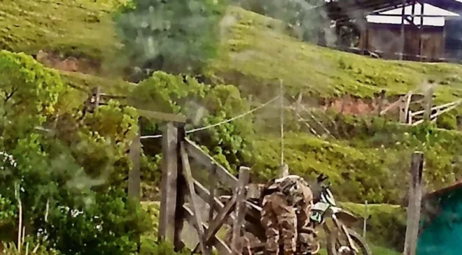 Asesinan a familia por no vender sus tierras en Guerrero; pobladores huyen tras ataque de grupo armado
