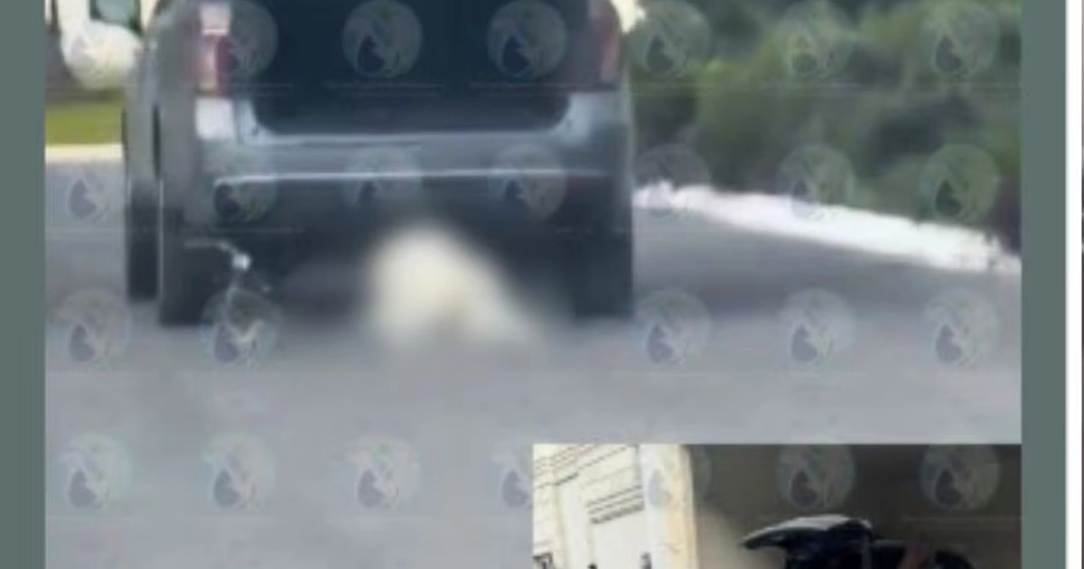 Dos personas fueron detenidas en el caso del perro Rocky en Saltillo: Liliana N. como presunta autora material del maltrato, y Jorge N. por obstaculizar la investigación y amenazar a la autoridad. (Captura de pantalla Facebook Dignidad Animal.Oficial)