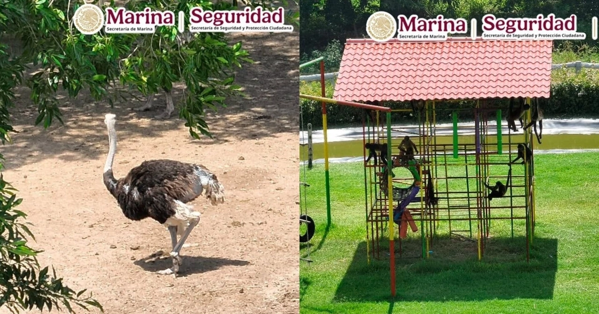 Foto: Marina