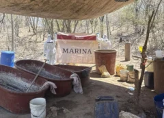 Mexicano se declara culpable en EEUU de fabricar fentanilo para el Cártel de Sinaloa: cabildeaba ingreso de precursores químicos