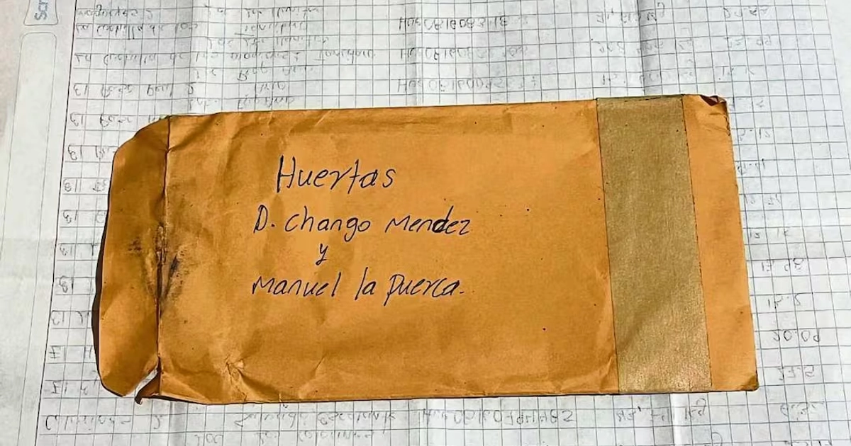 Sobre el Chango