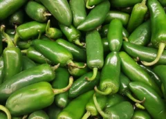 EU advierte de un brote de salmonela ligado a jalapeños de México; reportan 345 casos