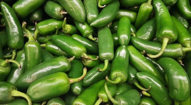 EU advierte de un brote de salmonela ligado a jalapeños de México; reportan 345 casos