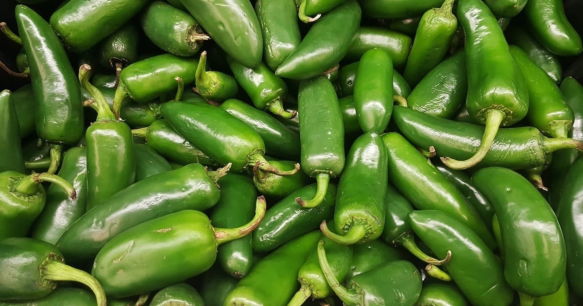 El brote de salmonela está ligado a unos chiles jalapeños procedentes de Sinaloa, en México, que fueron distribuidos por la empresa Coast Citrus Distributors. Foto: Pixabay