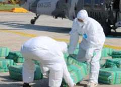 Aseguran casi dos toneladas de droga en millonario operativo; afectación al narco asciende a 400 mdp