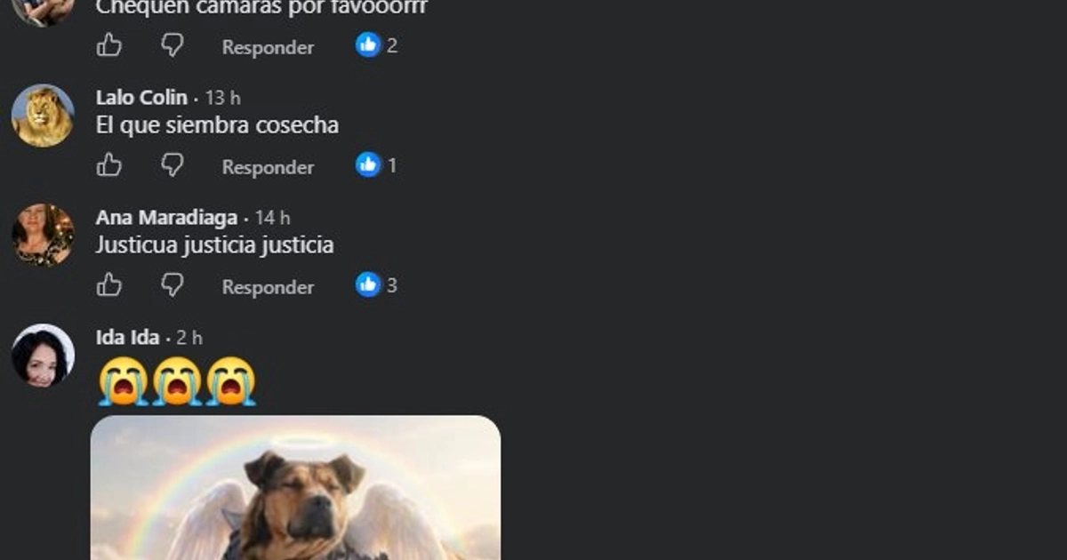 El animal había sido adoptado por trabajadores de una gasolinera y se convirtió en uno de los personajes más queridos por los clientes.