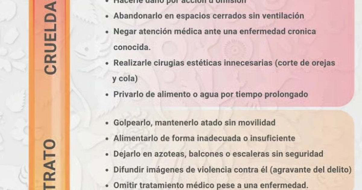 (SEDEMA)