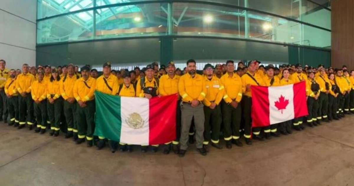 Envían a combatientes mexicanos a Canadá. Foto: SEMARNAT