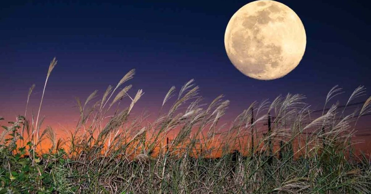 FOTO: Shutterstock