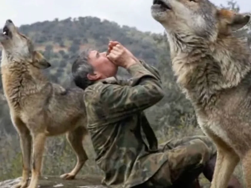 Captura de pantalla de un documental publicado por Paislobo Prensa sobre Marcos Rodríguez Pantoja, el niño criado por lobos en España. El director Gerardo Olivares logró que Rodríguez contara su historia en una serie de entrevistas filmadas.