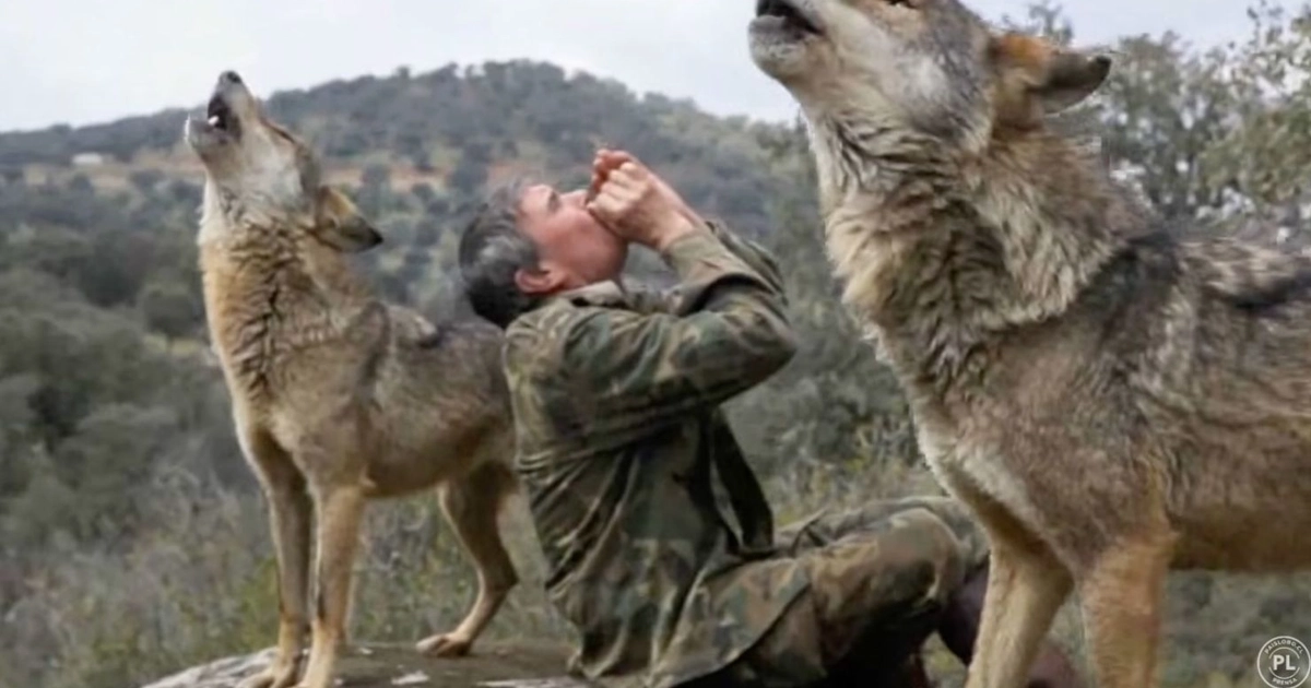 Captura de pantalla de un documental publicado por Paislobo Prensa sobre Marcos Rodríguez Pantoja, el niño criado por lobos en España. El director Gerardo Olivares logró que Rodríguez contara su historia en una serie de entrevistas filmadas.