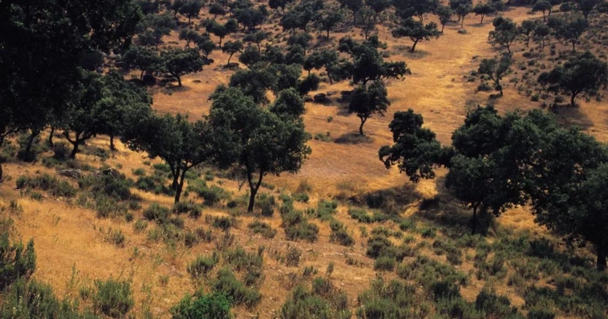 Sierra Morena, provincia de Jaén Paisaje montañoso de Sierra Morena, provincia de Jaén.