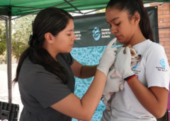 Prevenir para proteger: acciones para mantener a México libre de rabia