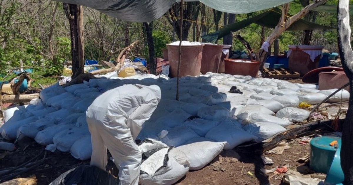 Fue desmantelado un complejo clandestino de 5,700 m², el segundo laboratorio de metanfetamina más grande localizado en el gobierno de la presidenta Claudia Sheinbaum Foto: FGR