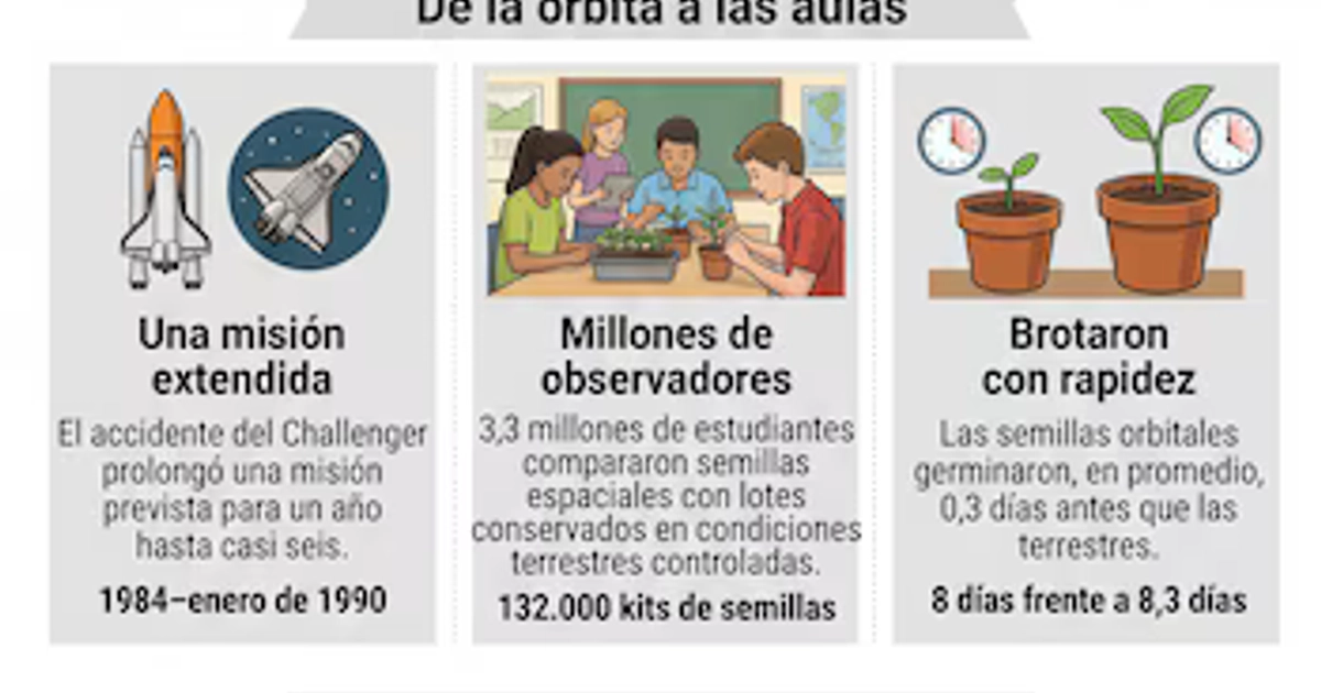Una infografía de Infobae detalla los resultados del experimento SEEDS de la NASA sobre la resistencia de semillas de tomate tras seis años en órbita terrestre en Estados Unidos. (Imagen Ilustrativa Infobae)
