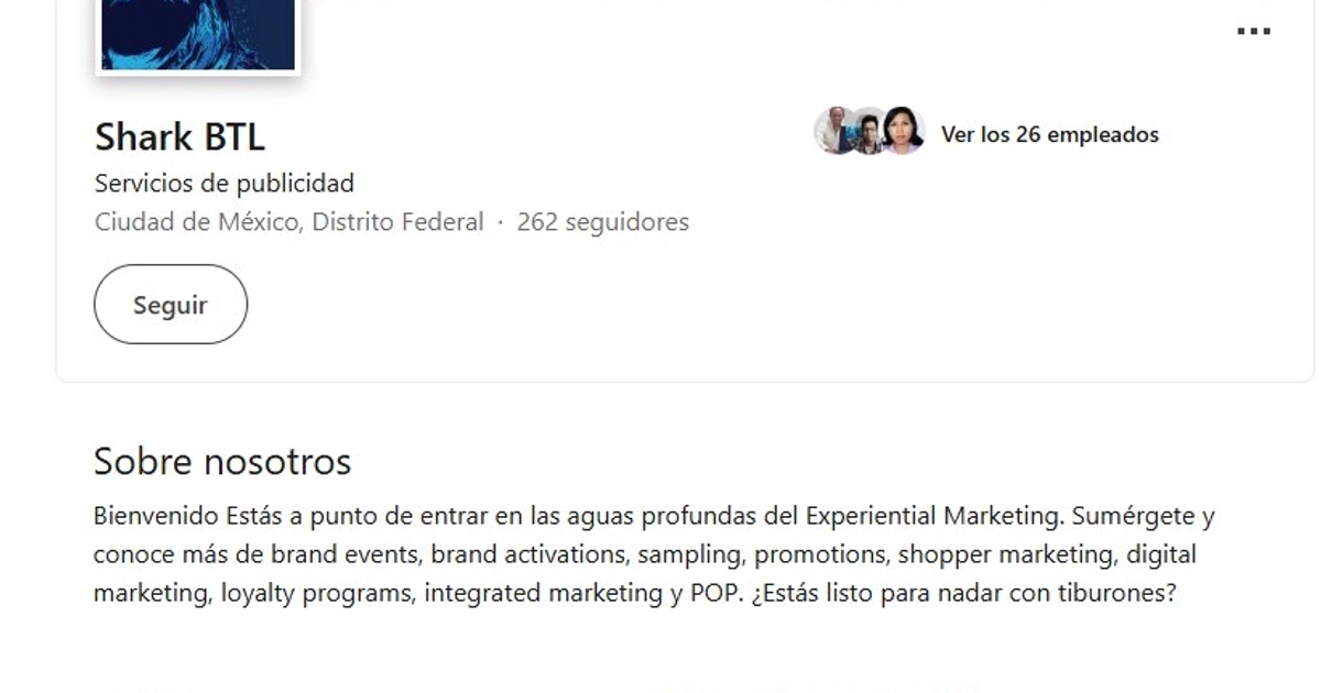 Perfil de una de las empresas que se le adjudica a Diego Sebastián Rosen. (Captura de pantalla)