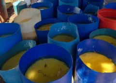 Decomisaron casi 17 toneladas de metanfetamina en Sinaloa equivalente a 347 millones de dólares