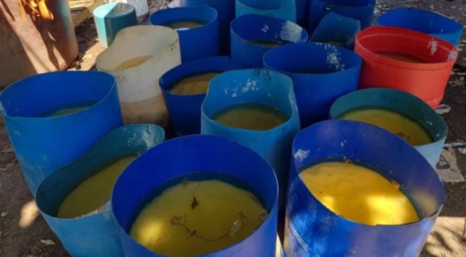 Decomisaron casi 17 toneladas de metanfetamina en Sinaloa equivalente a 347 millones de dólares