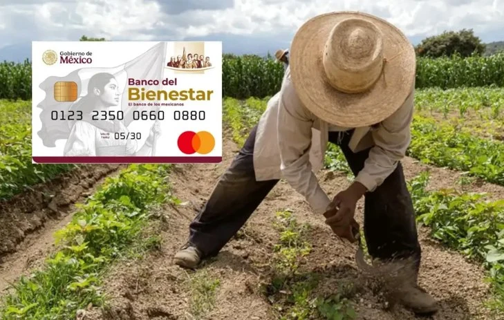 Programas para el Bienestar del Campo se entregan a 13 millones de productoras y productores en 2 mil 470 municipios del país en beneficio de la soberanía alimentaria
