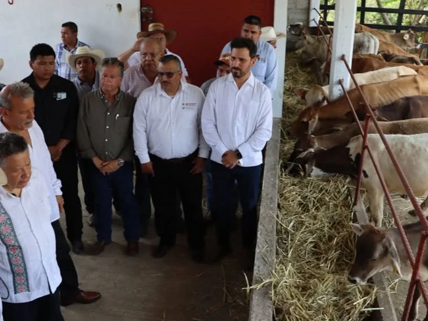 Consolida Hidalgo su liderazgo nacional en producción ovina y acuícola