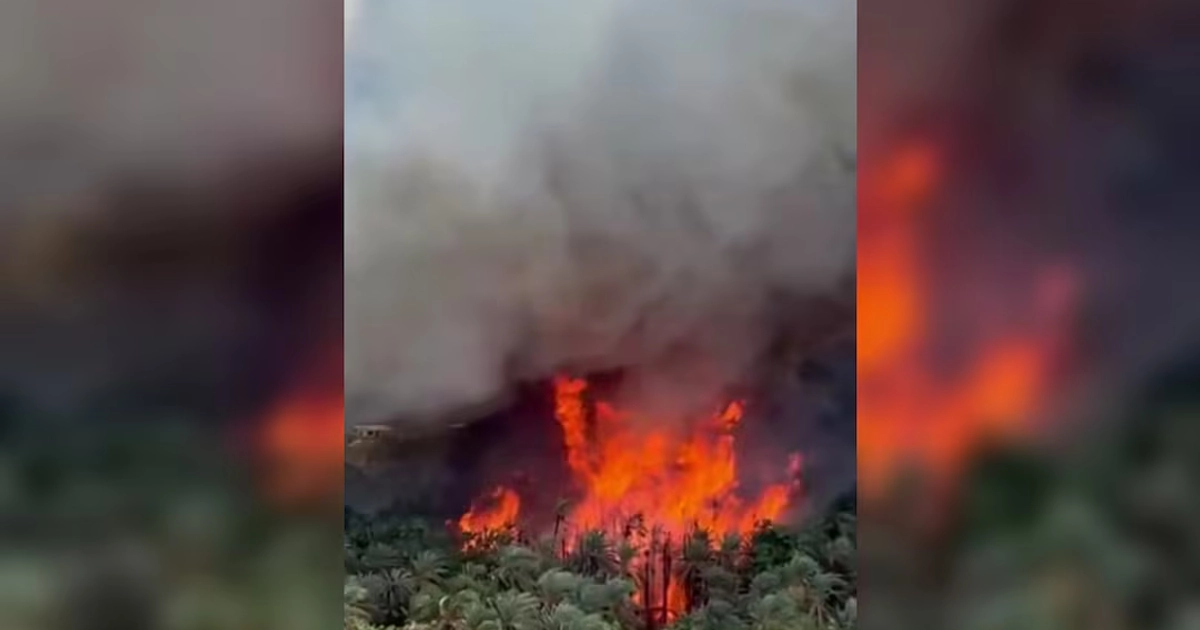 Un incendio avanza rápidamente la tarde de este lunes en Heroica Mulegé y amenaza con alcanzar viviendas. (28/09/26) Foto: Especial.