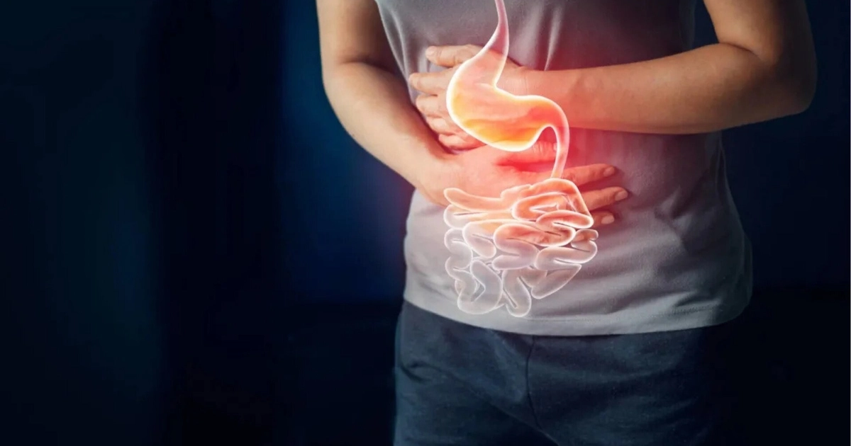 El IMSS recomienda higiene frecuente, evitar comida en la vía pública y refrigerar los alimentos para disminuir contagios intestinales. (Foto: Difusión)
