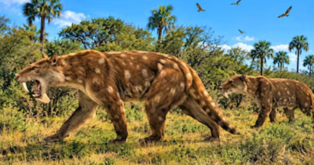 Dos grandes felinos con colmillos largos y pelaje manchado caminan en un pastizal con árboles, palmeras y aves en el cielo
