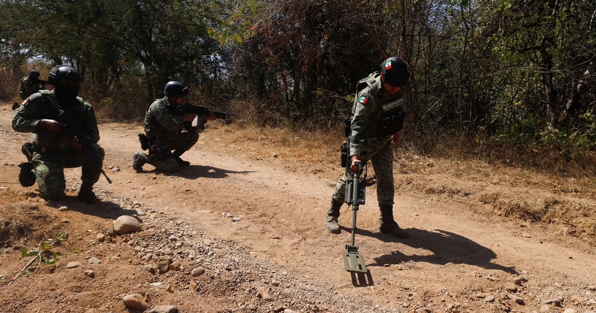 Efectivos del Ejército durante una operación para desactivar minas en zonas rurales de Michoacán, el 28 de mayo de 2025. (Crédito: AP)