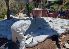 Tras polémica con Sheinbaum, la DEA responde que la caída de ocho narcolaboratorios en México no habría sido posible sin ellos