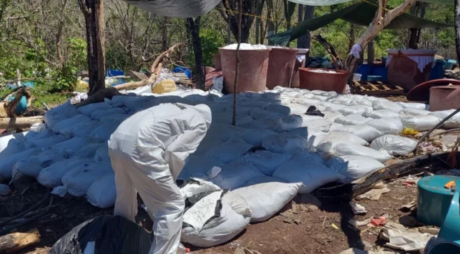 Tras polémica con Sheinbaum, la DEA responde que la caída de ocho narcolaboratorios en México no habría sido posible sin ellos
