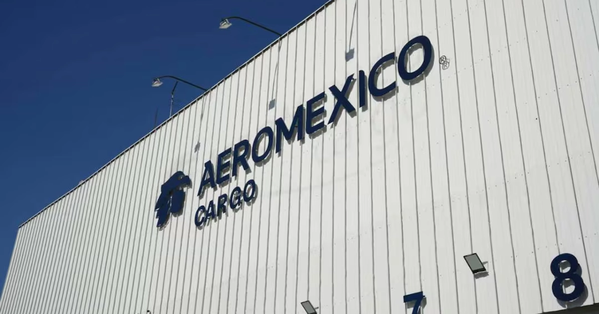 Entre los datos que fueron vendidos se encuentran nombres, correos, teléfonos y, en algunos casos, fechas de nacimiento. Foto: Aeroméxico