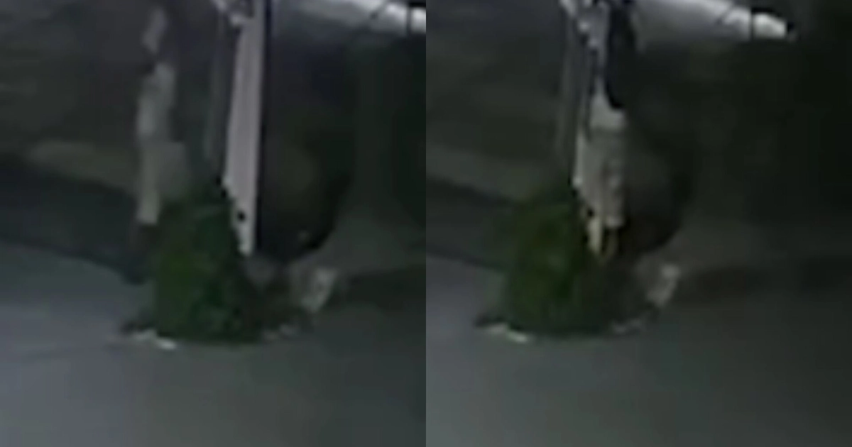 Tras el crimen han sido revelados videos del presunto asesino luego del ataque. Crédito: Redes Sociales